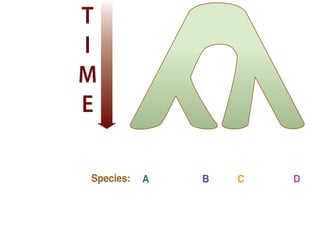 Species: A B C D
T
I
M
E
Species: A B C D
Discrete character:
Continuous character:
a a b a
0.1 0.2 0.2 0.4
T
I
M
E
 