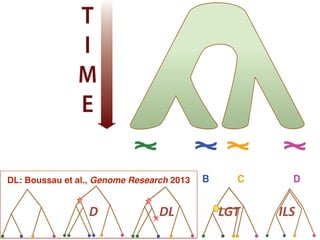 Species: A B C D
T
I
M
E
Species: A B C D
Discrete character:
Continuous character:
a a b a
0.1 0.2 0.2 0.4
T
I
M
E
Species: A B C D
Discrete character:
Continuous character:
a a b a
0.1 0.2 0.2 0.4
T
I
M
E
LGT ILS
DL: Boussau et al., Genome Research 2013
D DL
 