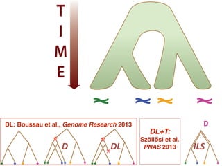 Species: A B C D
T
I
M
E
Species: A B C D
Discrete character:
Continuous character:
a a b a
0.1 0.2 0.2 0.4
T
I
M
E
Species: A B C D
Discrete character:
Continuous character:
a a b a
0.1 0.2 0.2 0.4
T
I
M
E
LGT ILS
DL: Boussau et al., Genome Research 2013
D DL
DL+T:!
Szöllősi et al. "
PNAS 2013
 