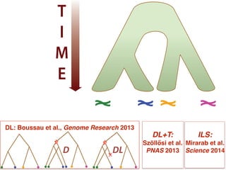 Species: A B C D
T
I
M
E
Species: A B C D
Discrete character:
Continuous character:
a a b a
0.1 0.2 0.2 0.4
T
I
M
E
Species: A B C D
Discrete character:
Continuous character:
a a b a
0.1 0.2 0.2 0.4
T
I
M
E
LGT ILS
ILS: !
Mirarab et al.
Science 2014
DL: Boussau et al., Genome Research 2013
D DL
DL+T:!
Szöllősi et al. "
PNAS 2013
 