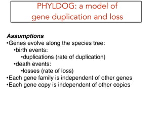 PHYLDOG: a model of
gene duplication and loss
Assumptions!
•Genes evolve along the species tree:!
•birth events:!
•duplications (rate of duplication)!
•death events:!
•losses (rate of loss)!
•Each gene family is independent of other genes!
•Each gene copy is independent of other copies!
!
!
 