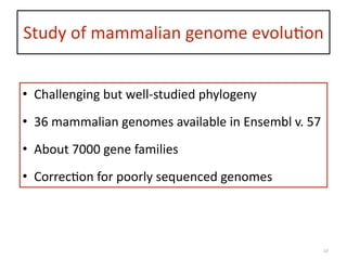 Study	
  of	
  mammalian	
  genome	
  evolu:on
10
• Challenging	
  but	
  well-­‐studied	
  phylogeny	
  
• 36	
  mammalian	
  genomes	
  available	
  in	
  Ensembl	
  v.	
  57	
  
• About	
  7000	
  gene	
  families	
  
• Correc:on	
  for	
  poorly	
  sequenced	
  genomes
 