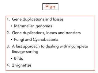 Plan
1. Gene duplications and losses
• Mammalian genomes
2. Gene duplications, losses and transfers
• Fungi and Cyanobacteria
3. A fast approach to dealing with incomplete
lineage sorting
• Birds
4. 2 vignettes
 