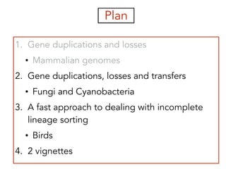 Plan
1. Gene duplications and losses
• Mammalian genomes
2. Gene duplications, losses and transfers
• Fungi and Cyanobacteria
3. A fast approach to dealing with incomplete
lineage sorting
• Birds
4. 2 vignettes
 