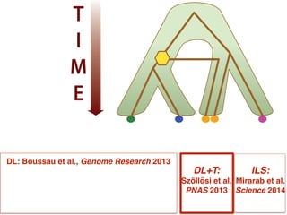 Species: A B C D
T
I
M
E
ILS: !
Mirarab et al.
Science 2014
DL: Boussau et al., Genome Research 2013
DL+T:!
Szöllősi et al. "
PNAS 2013
 