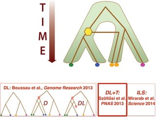 Species: A B C D
T
I
M
E
LGT ILS
ILS: !
Mirarab et al.
Science 2014
DL: Boussau et al., Genome Research 2013
D DL
DL+T:!
Szöllősi et al. "
PNAS 2013
 