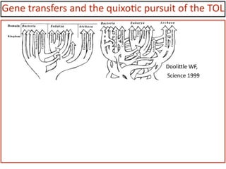 Gene	
  transfers	
  and	
  the	
  quixo:c	
  pursuit	
  of	
  the	
  TOL
DooliYle	
  WF,	
  
	
  Science	
  1999
 