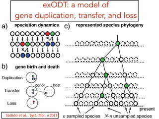 exODT: a model of
gene duplication, transfer, and loss
Szöllősi et al., Syst. Biol. a 2013
 