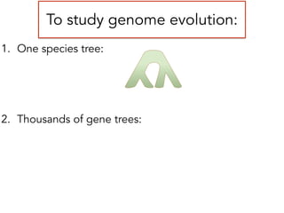 To study genome evolution:
1. One species tree:
!
!
!
2. Thousands of gene trees:
Species: A B C D
Discrete character:
Continuous character:
a a b a
0.1 0.2 0.2 0.4
T
I
M
E
 