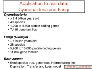 Application to real data:
Cyanobacteria and Fungi
Cyanobacteria!
• > 2.4 billion years old! !
• 40 species!
• 1,200 to 4,500 protein coding genes!
• 7,410 gene families!
!
Fungi (Dikarya)!
• ~ 1 billion years old!
• 28 species!
• 5,200 to 10,000 protein coding genes!
• 11,387 gene families!
!!
Both cases: !
• ﬁxed species tree, gene trees inferred using the
Duplication, Transfer and Loss model! Szöllősi et al., under review
 