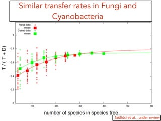 Similar transfer rates in Fungi and
Cyanobacteria
Szöllősi et al., under review
 
