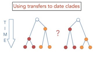 Using transfers to date clades
?
T
I
M
E
 