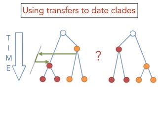 Using transfers to date clades
?
T
I
M
E
 