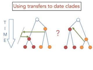 Using transfers to date clades
?
T
I
M
E
 