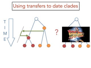 Using transfers to date clades
?
T
I
M
E
 