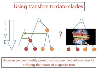 Using transfers to date clades
?
T
I
M
E
Because we can identify gene transfers, we have information for
ordering the nodes of a species tree
 