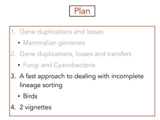 Plan
1. Gene duplications and losses
• Mammalian genomes
2. Gene duplications, losses and transfers
• Fungi and Cyanobacteria
3. A fast approach to dealing with incomplete
lineage sorting
• Birds
4. 2 vignettes
 