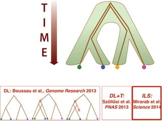 Species: A B C D
T
I
M
E
ILS: !
Mirarab et al.
Science 2014
DL: Boussau et al., Genome Research 2013
DL+T:!
Szöllősi et al. "
PNAS 2013
 