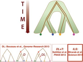 Species: A B C D
T
I
M
E
LGT ILS
ILS: !
Mirarab et al.
Science 2014
DL: Boussau et al., Genome Research 2013
D DL
DL+T:!
Szöllősi et al. "
PNAS 2013
 