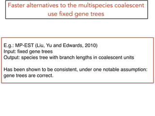 Faster alternatives to the multispecies coalescent
use fixed gene trees
E.g.: MP-EST (Liu, Yu and Edwards, 2010)!
Input: ﬁxed gene trees!
Output: species tree with branch lengths in coalescent units!
!
Has been shown to be consistent, under one notable assumption: !
gene trees are correct.
 