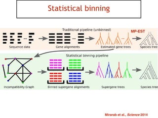 39
Statistical binning
Mirarab et al., Science 2014
MP-EST
 