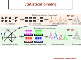 39
Statistical binning
Mirarab et al., Science 2014
MP-EST
MP-EST
 
