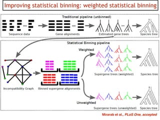 43Mirarab et al., PLoS One, accepted
Improving statistical binning: weighted statistical binning
 
