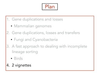 Plan
1. Gene duplications and losses
• Mammalian genomes
2. Gene duplications, losses and transfers
• Fungi and Cyanobacteria
3. A fast approach to dealing with incomplete
lineage sorting
• Birds
4. 2 vignettes
 