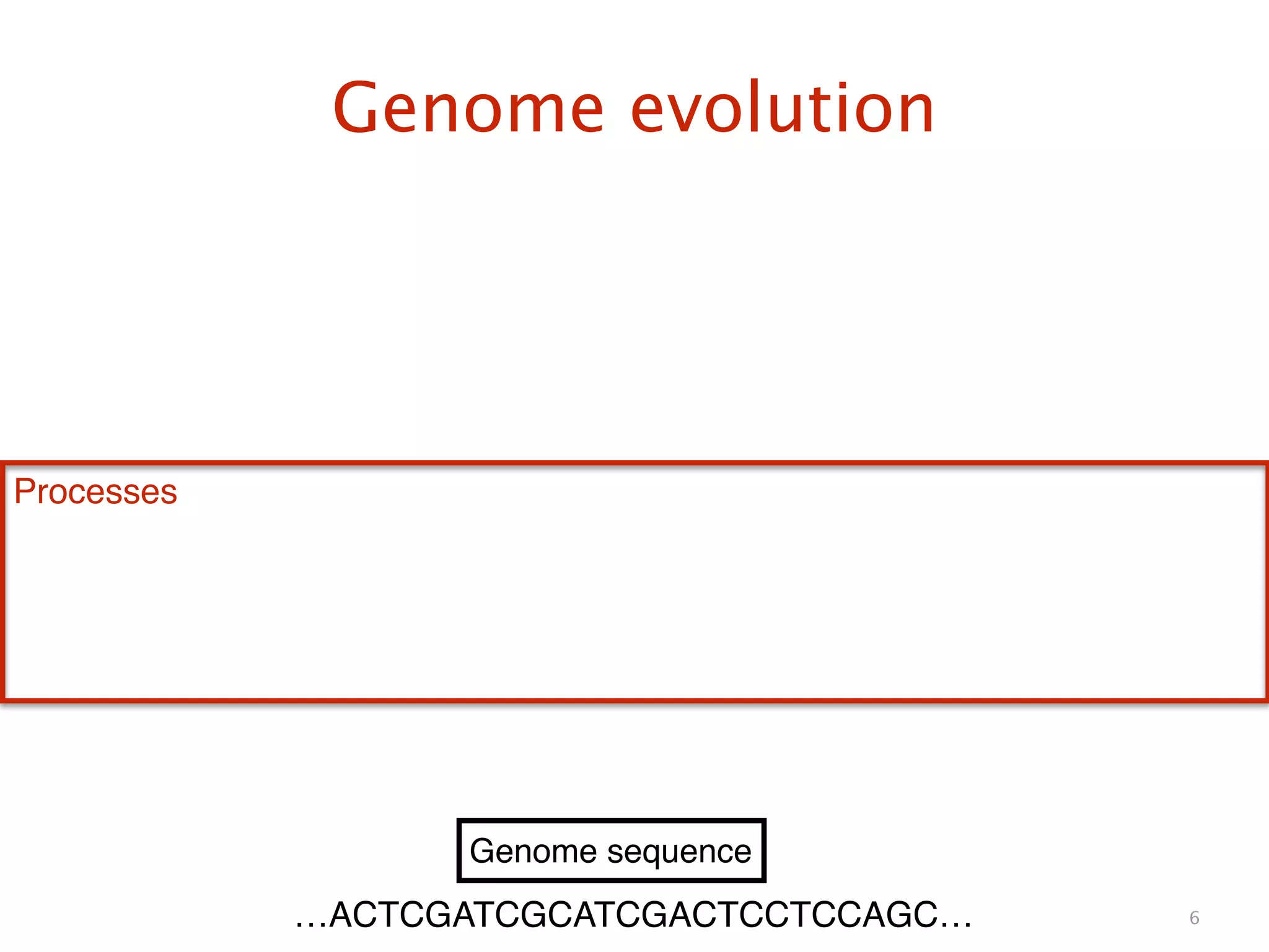 Genome evolution
6
Genome sequence
Processes
…ACTCGATCGCATCGACTCCTCCAGC…
 