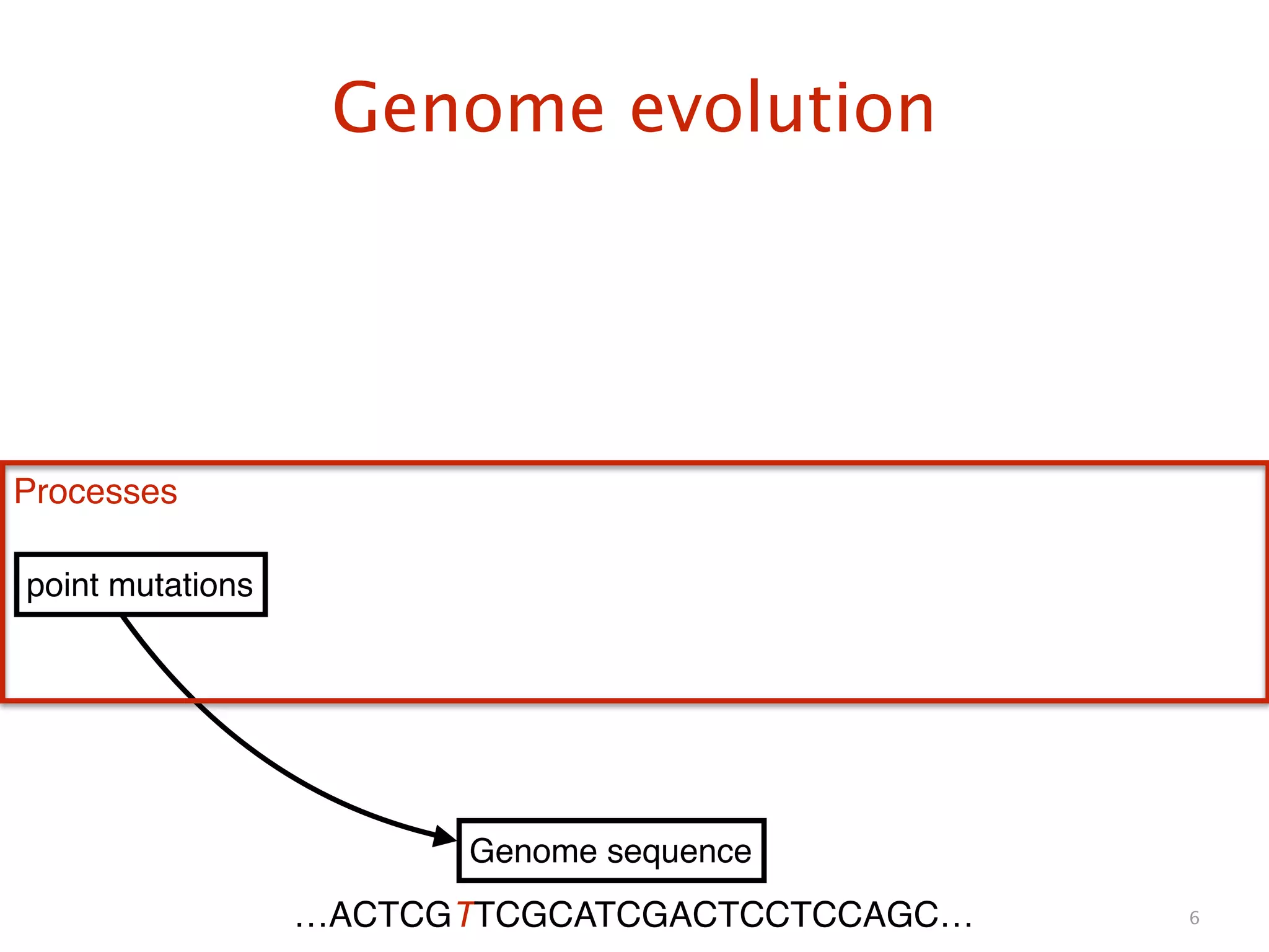 Genome evolution
6
Genome sequence
point mutations
Processes
…ACTCGTTCGCATCGACTCCTCCAGC…
 