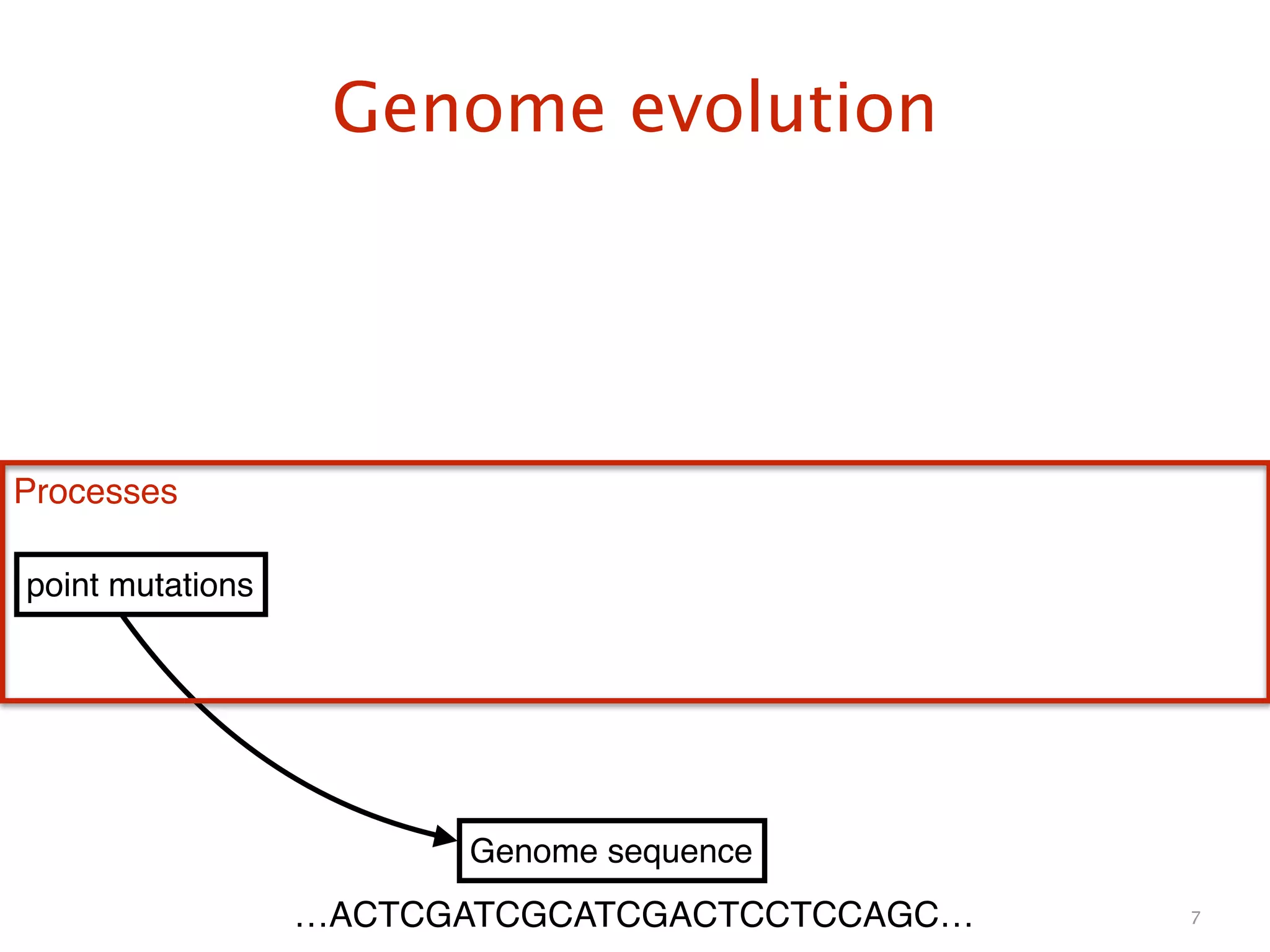 Genome evolution
7
Genome sequence
point mutations
Processes
…ACTCGATCGCATCGACTCCTCCAGC…
 