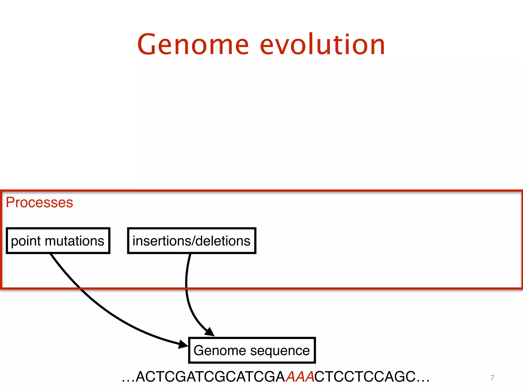 Genome evolution
7
Genome sequence
point mutations insertions/deletions
Processes
…ACTCGATCGCATCGAAAACTCCTCCAGC…
 