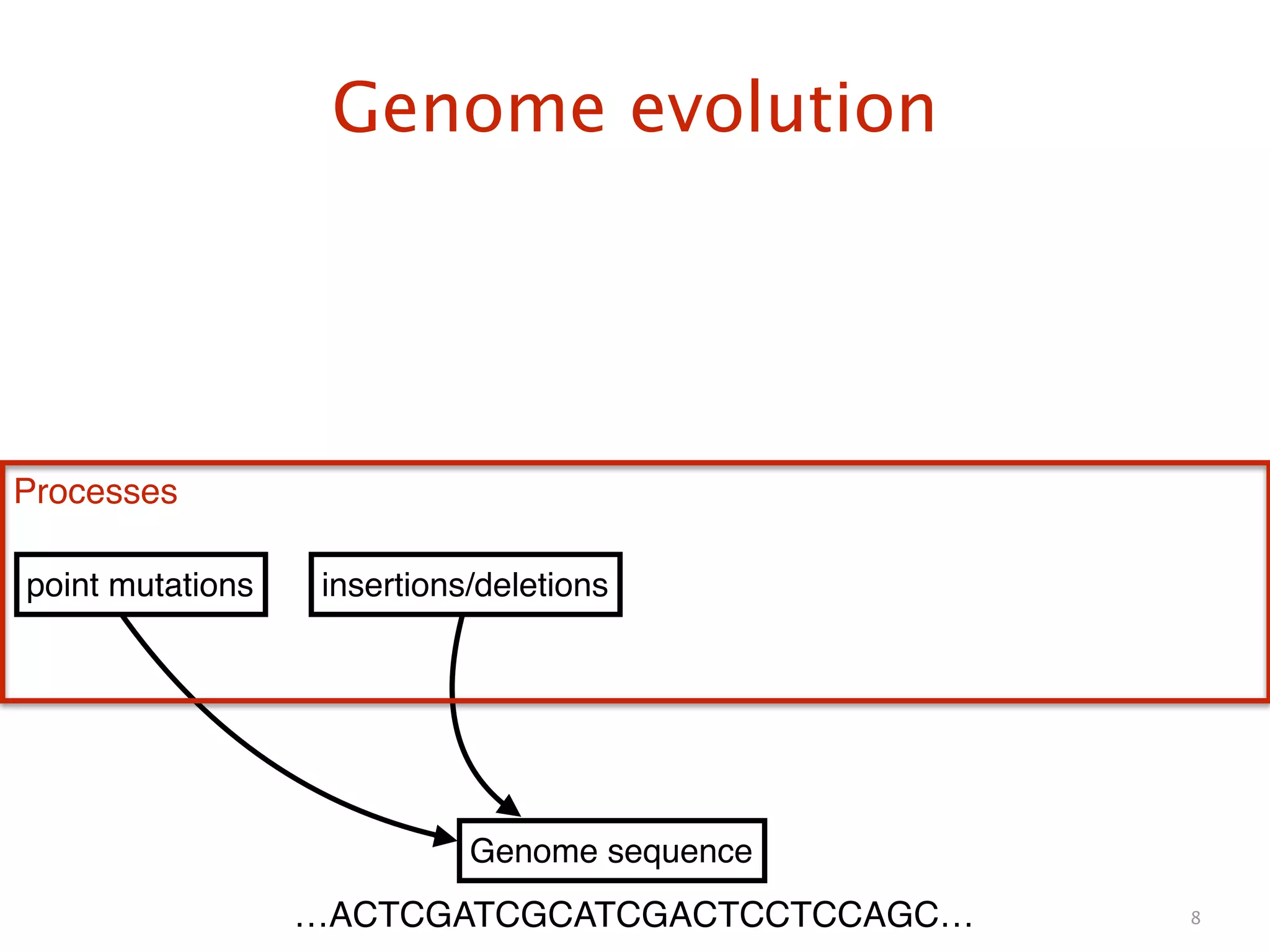 Genome evolution
8
Genome sequence
point mutations insertions/deletions
Processes
…ACTCGATCGCATCGACTCCTCCAGC…
 