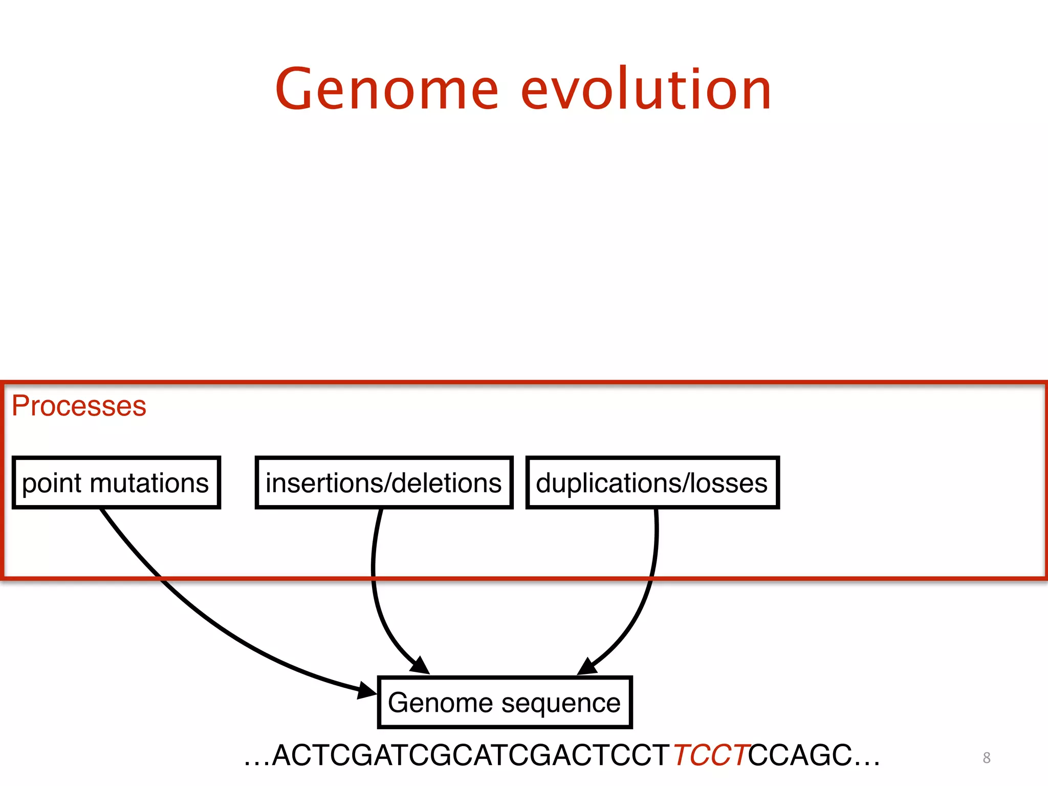 Genome evolution
8
Genome sequence
point mutations insertions/deletions duplications/losses
Processes
…ACTCGATCGCATCGACTCCTTCCTCCAGC…
 