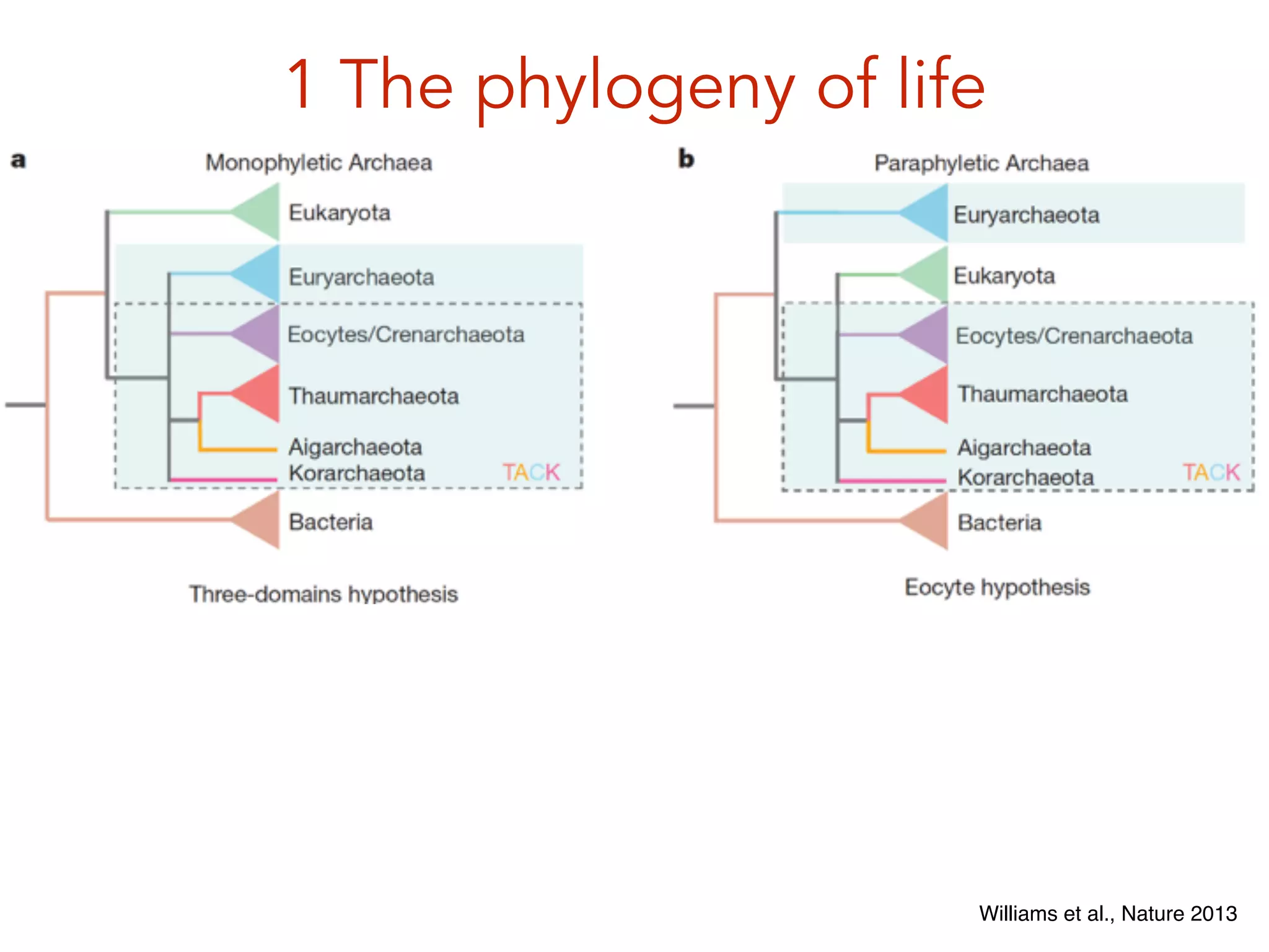 1 The phylogeny of life
Williams et al., Nature 2013
 