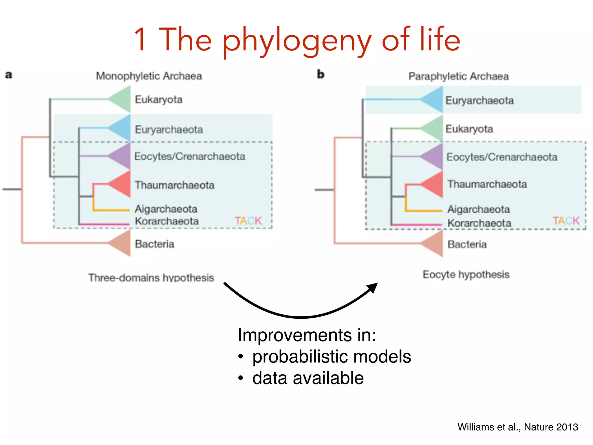 1 The phylogeny of life
Williams et al., Nature 2013
Improvements in:!
• probabilistic models!
• data available
 