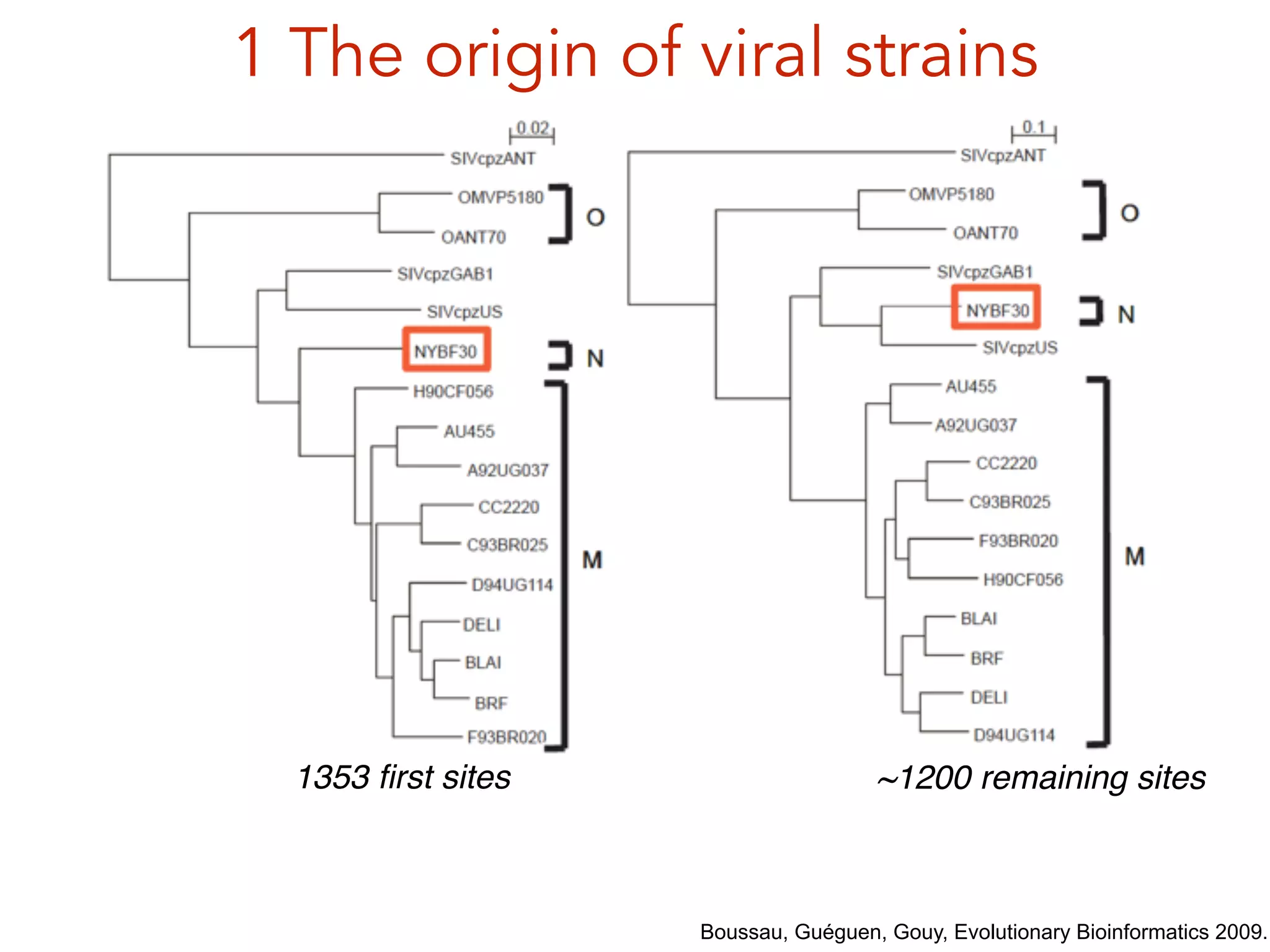 1 The origin of viral strains
Boussau, Guéguen, Gouy, Evolutionary Bioinformatics 2009.
1353 ﬁrst sites ~1200 remaining sites
 