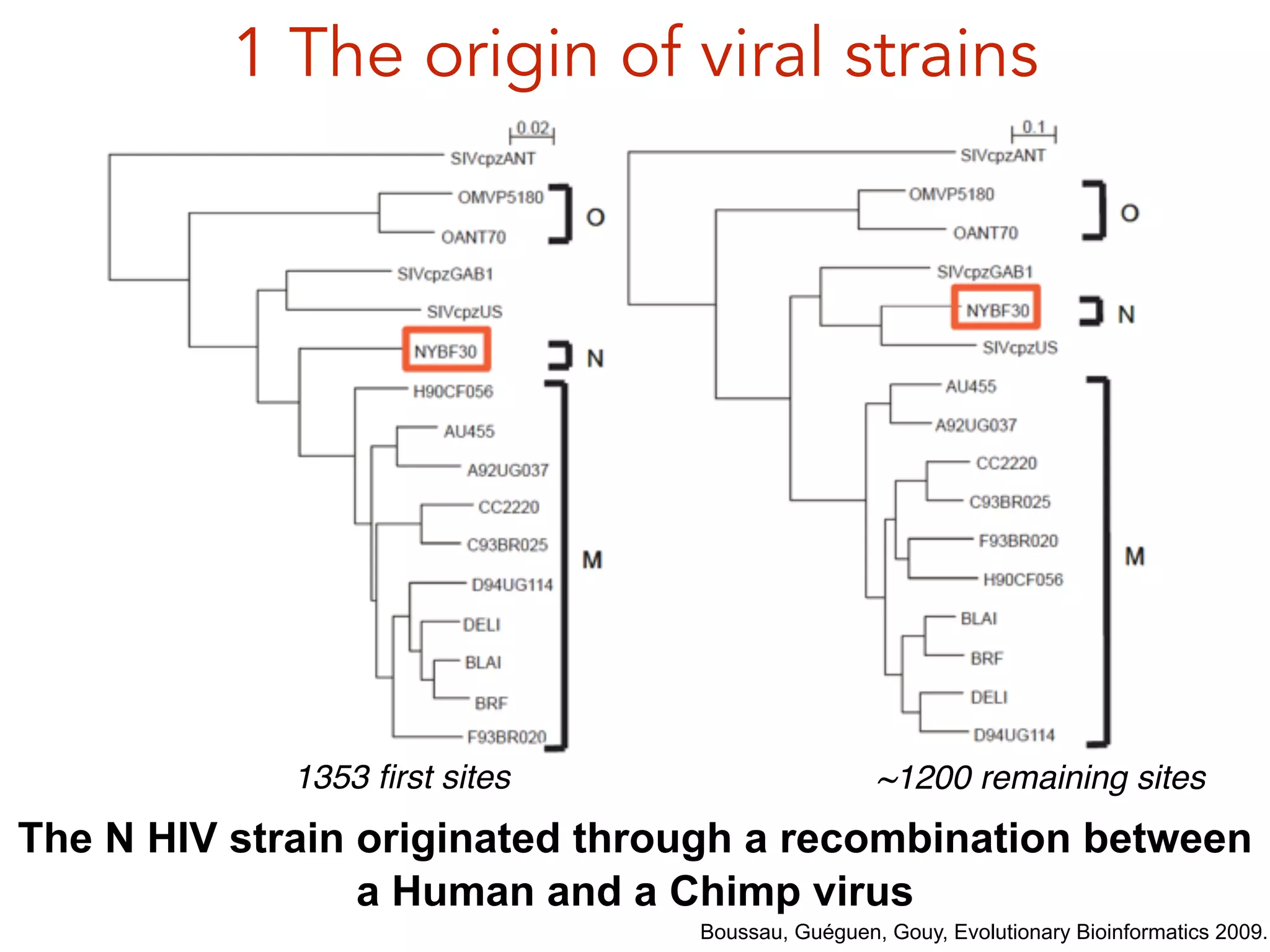 1 The origin of viral strains
Boussau, Guéguen, Gouy, Evolutionary Bioinformatics 2009.
The N HIV strain originated through a recombination between
a Human and a Chimp virus
1353 ﬁrst sites ~1200 remaining sites
 