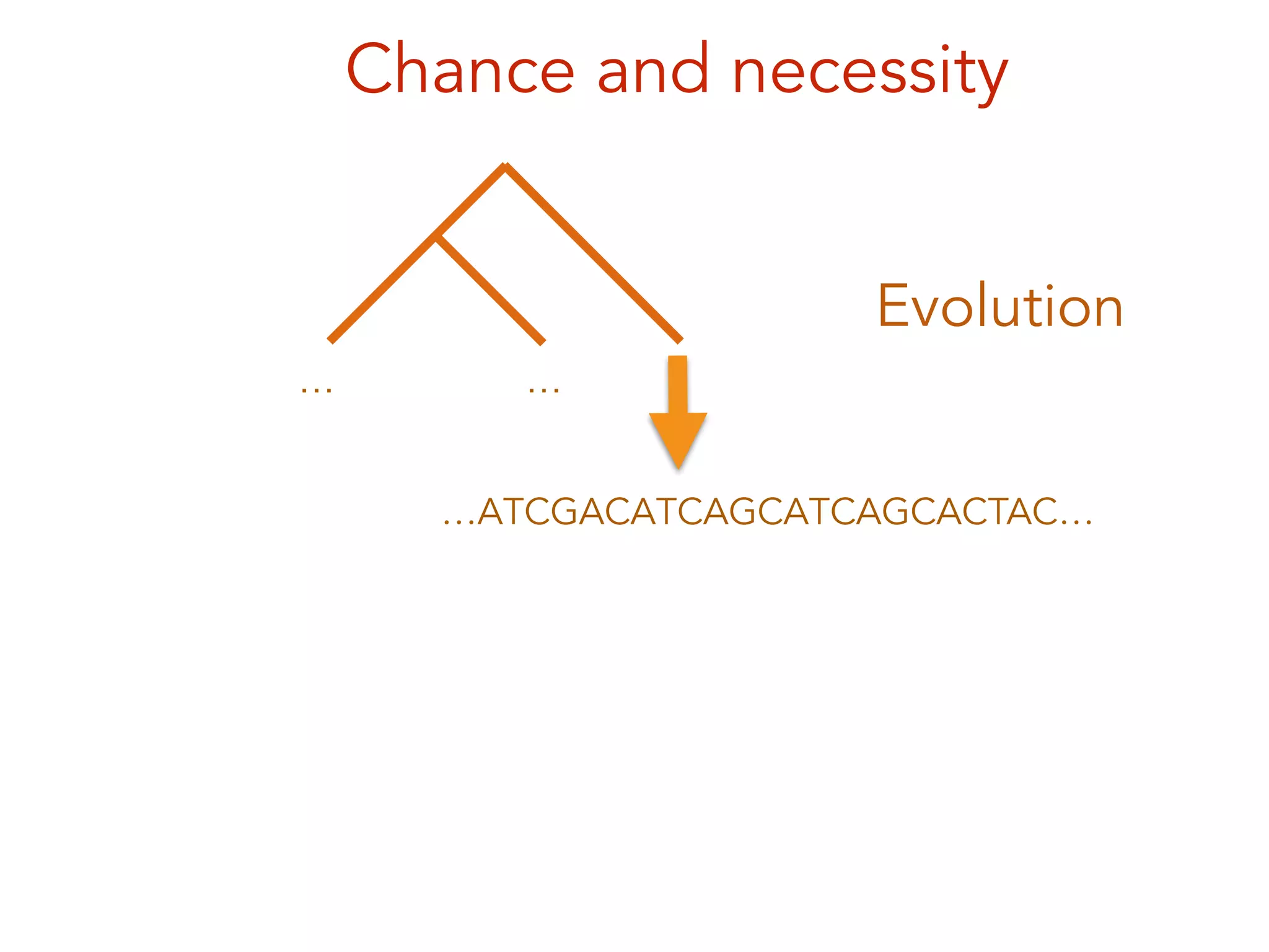 Chance and necessity
… …
Evolution
…ATCGACATCAGCATCAGCACTAC…
 