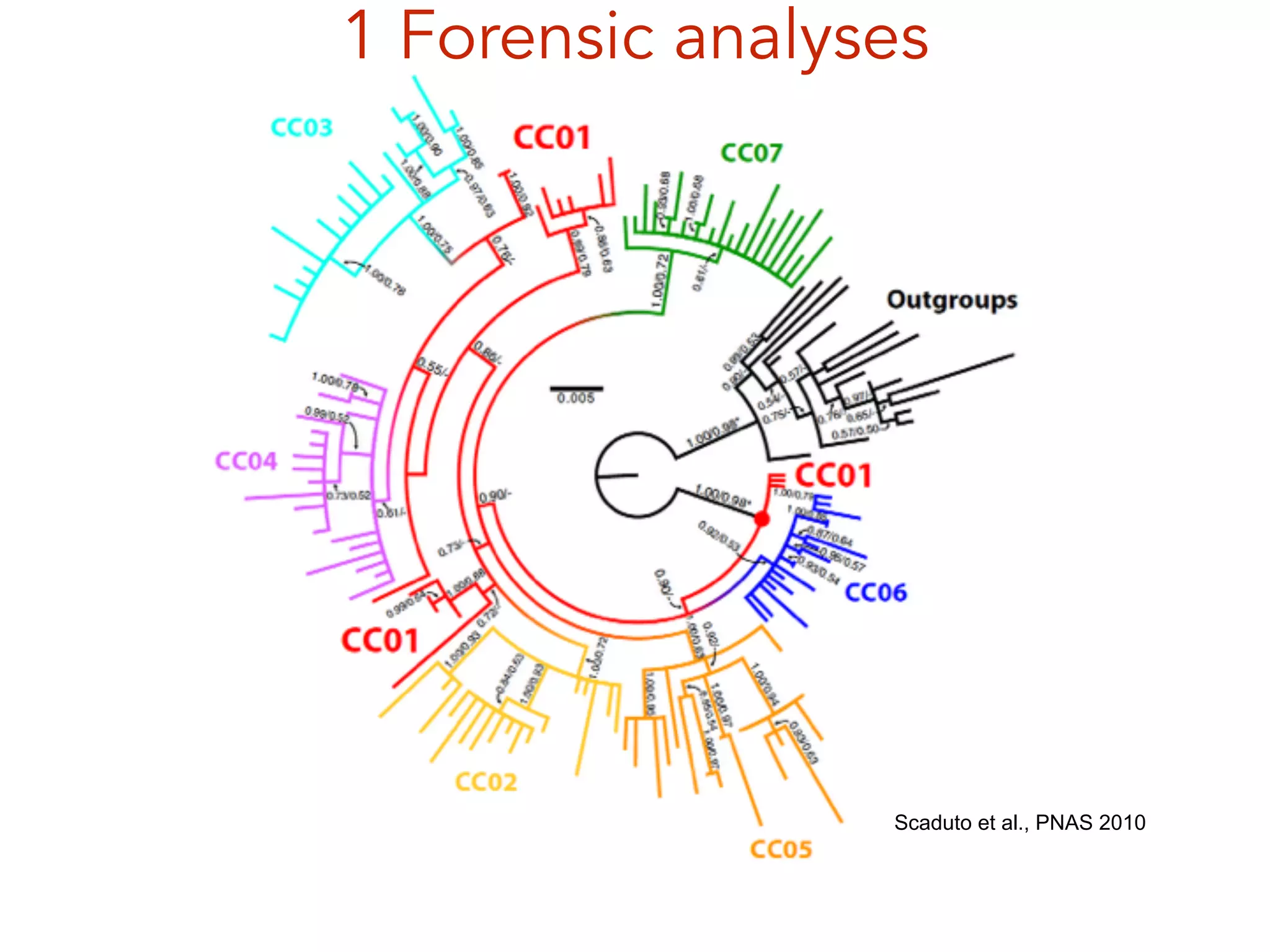 1 Forensic analyses
Scaduto et al., PNAS 2010
 