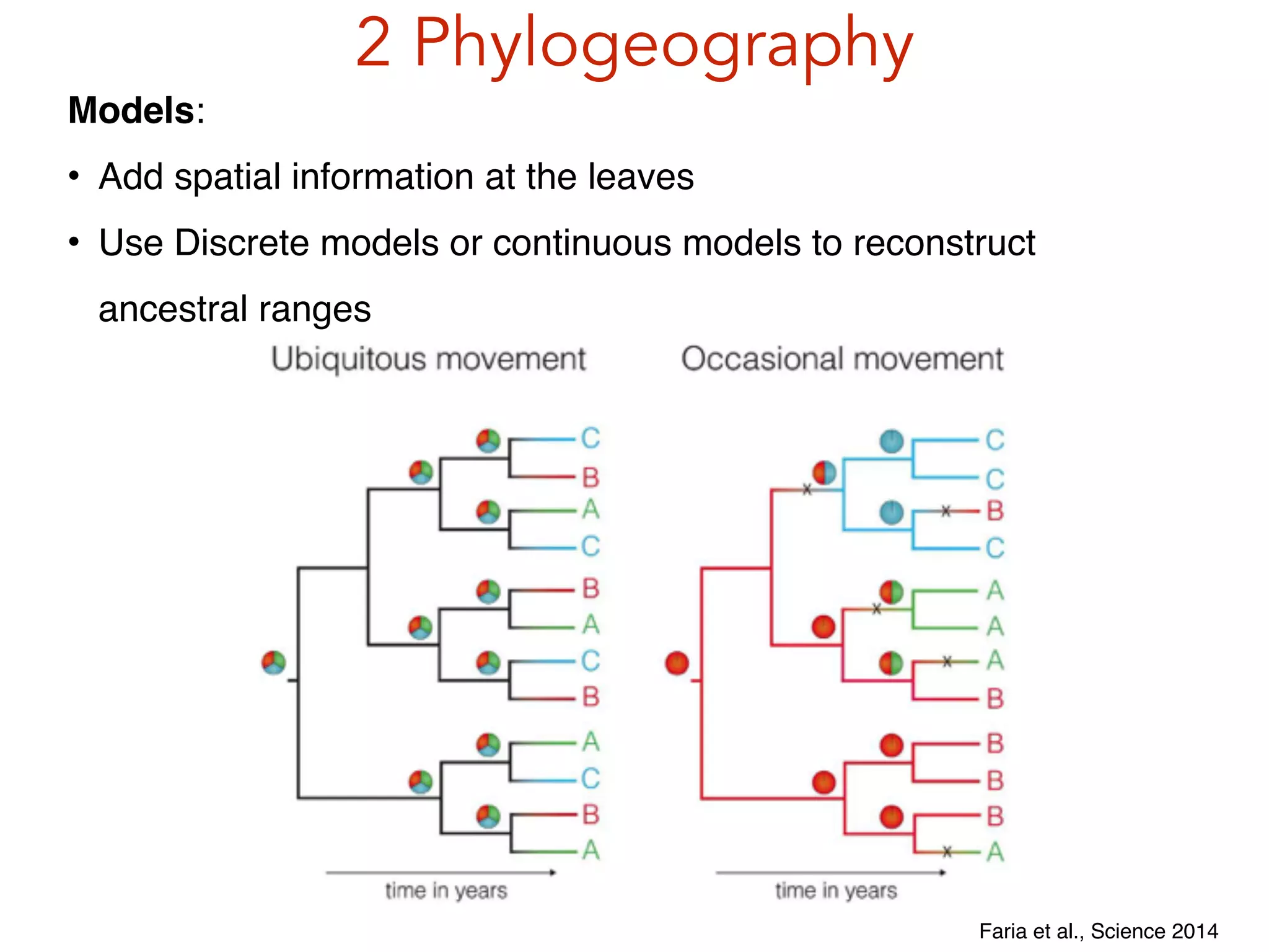2 Phylogeography
Faria et al., Science 2014
Models:!
• Add spatial information at the leaves!
• Use Discrete models or continuous models to reconstruct
ancestral ranges!
 