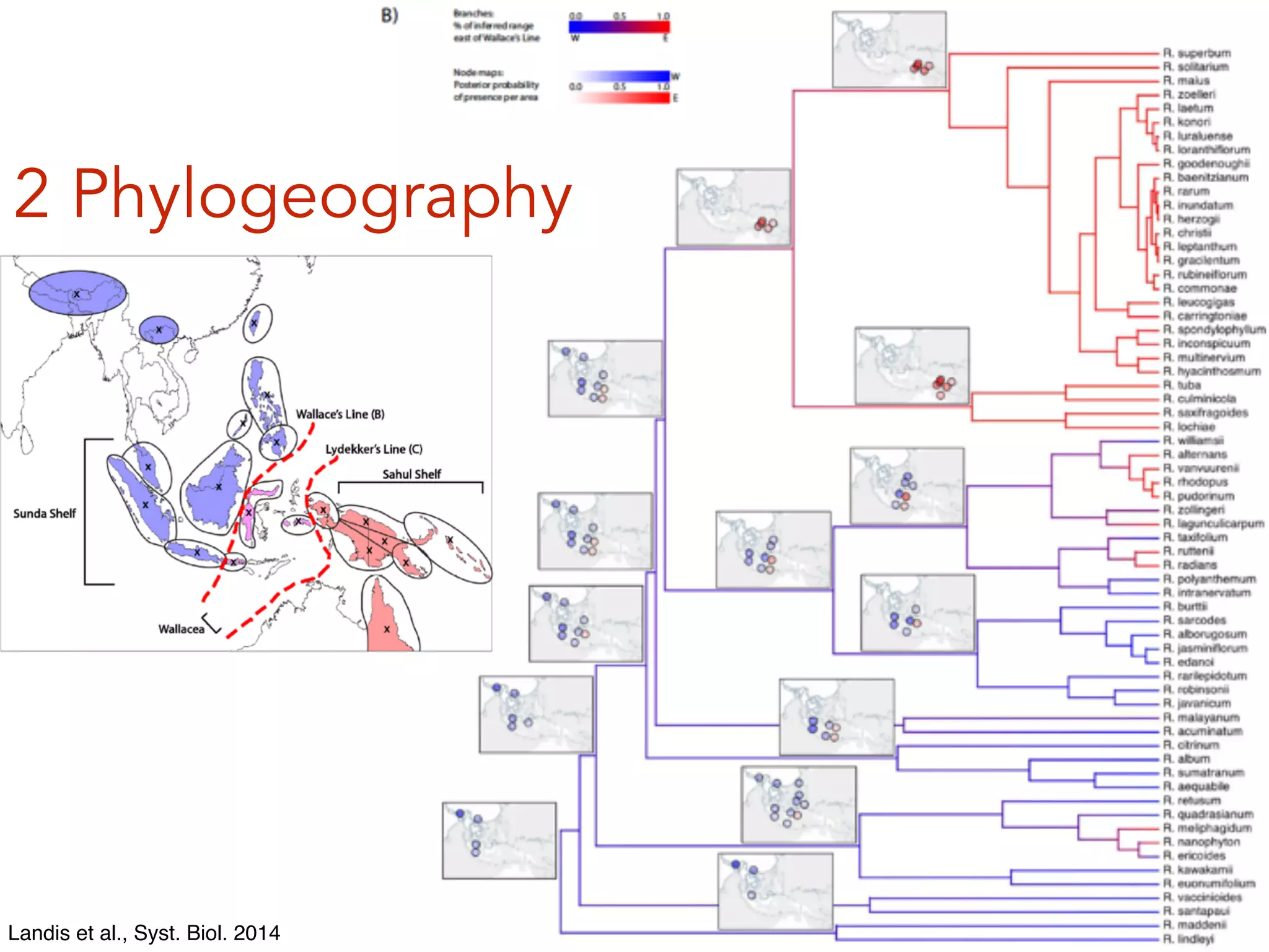Landis et al., Syst. Biol. 2014
2 Phylogeography
 
