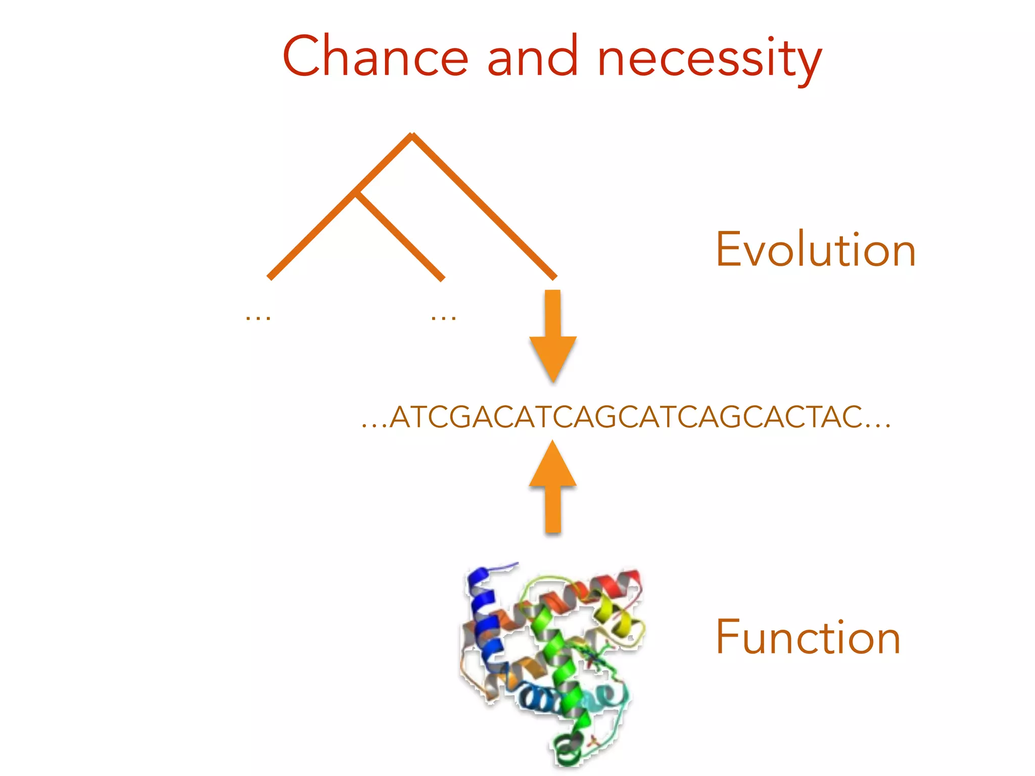Chance and necessity
… …
Evolution
Function
…ATCGACATCAGCATCAGCACTAC…
 