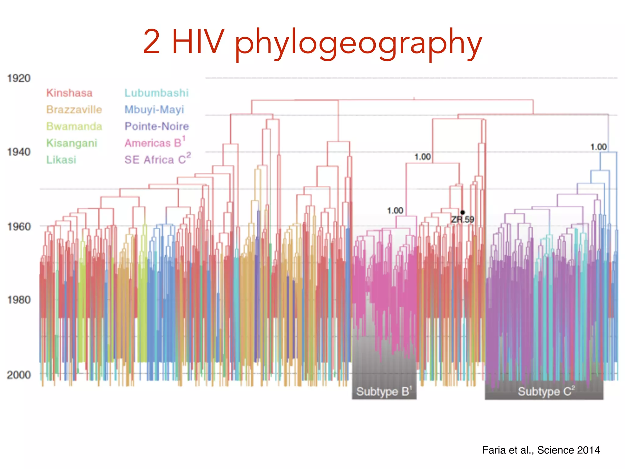 2 HIV phylogeography
Faria et al., Science 2014
 