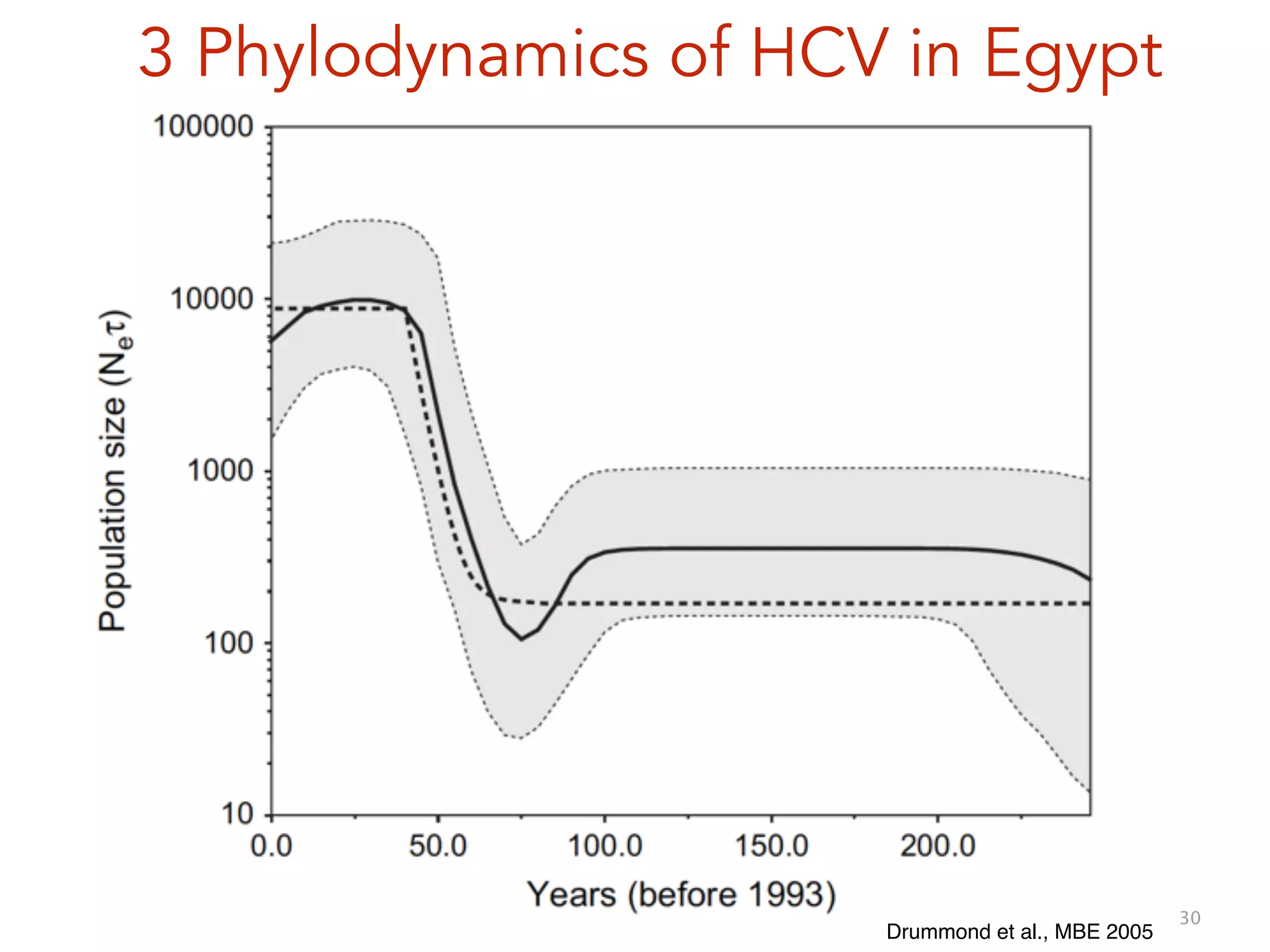 30
3 Phylodynamics of HCV in Egypt
Drummond et al., MBE 2005
 