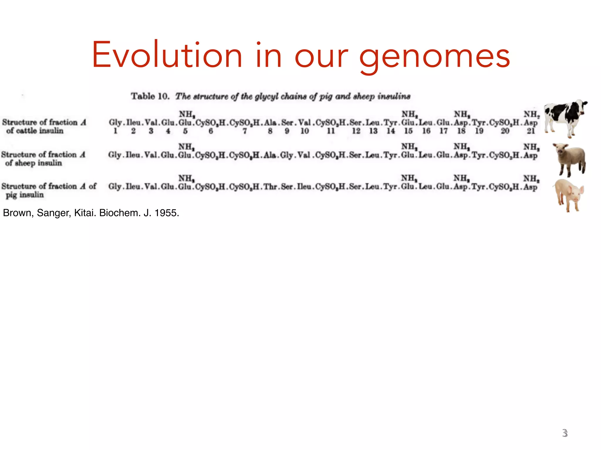 3
Evolution in our genomes
3
Brown, Sanger, Kitai. Biochem. J. 1955.
 