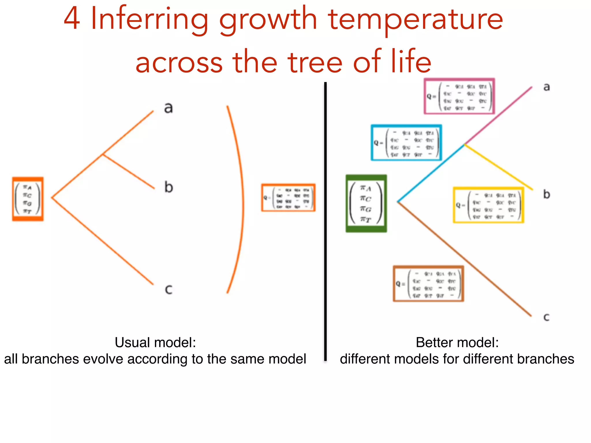 4 Inferring growth temperature
across the tree of life
Usual model: !
all branches evolve according to the same model
Better model: !
different models for different branches
 