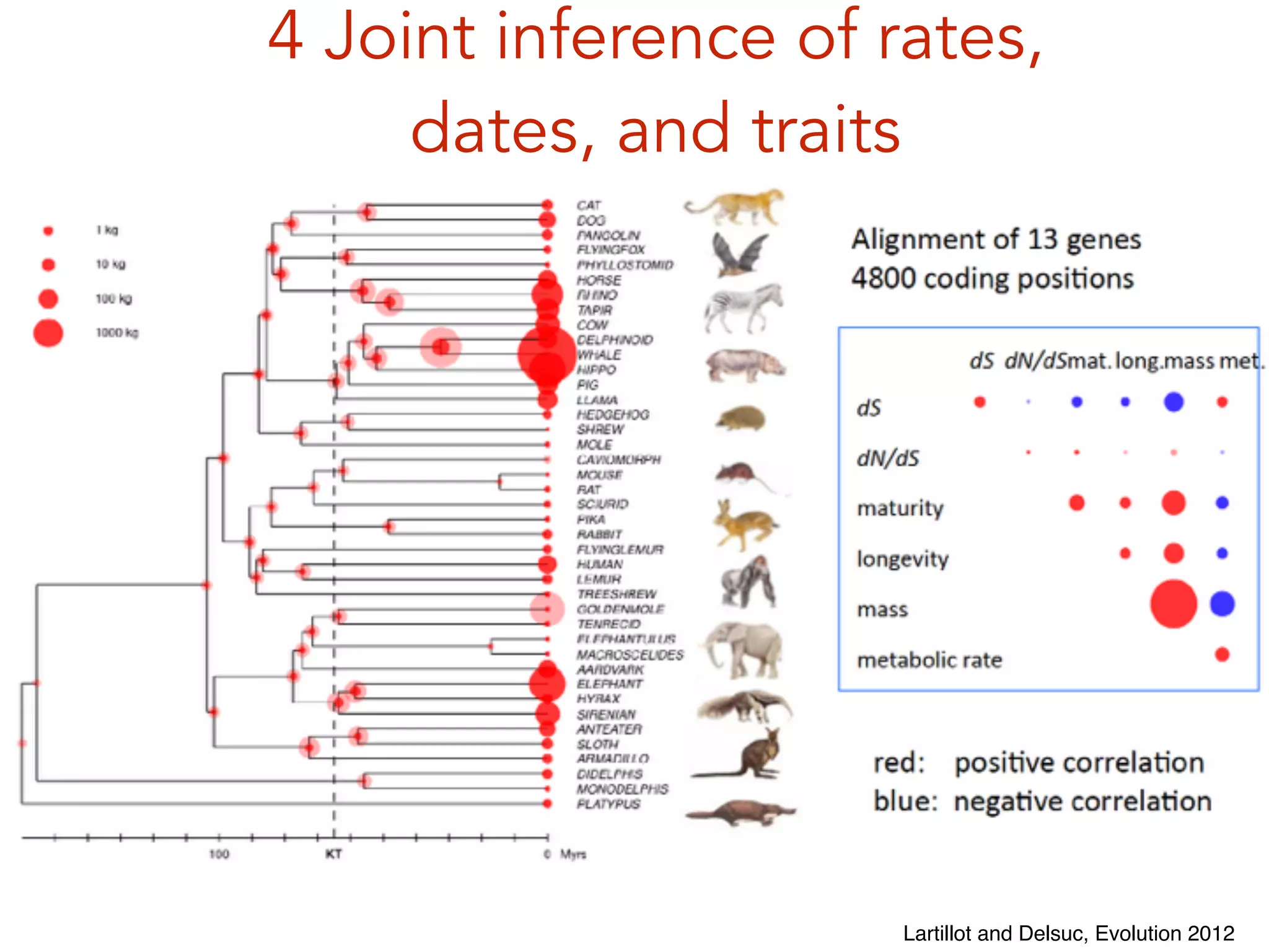 Lartillot and Delsuc, Evolution 2012
4 Joint inference of rates,
dates, and traits
 