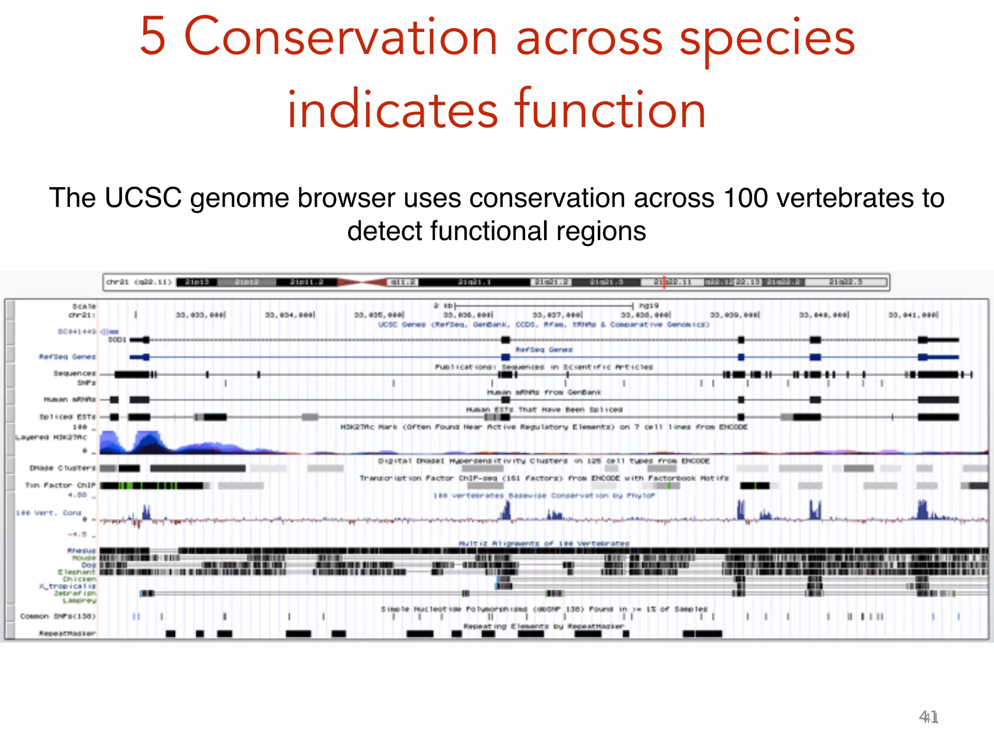 41
5 Conservation across species
indicates function
41
The UCSC genome browser uses conservation across 100 vertebrates to
detect functional regions
 