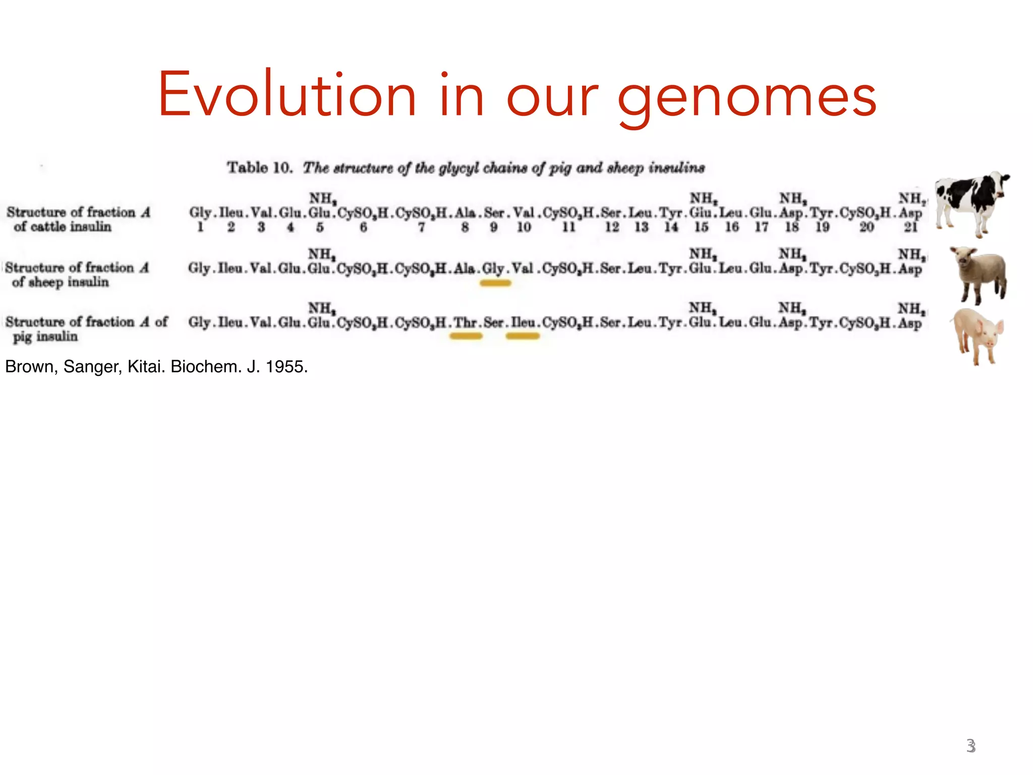 3
Evolution in our genomes
3
Brown, Sanger, Kitai. Biochem. J. 1955.
 